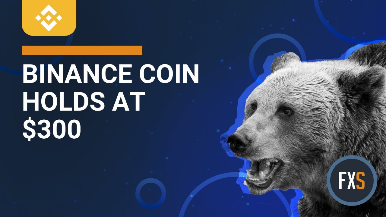 Bear Coin (BEAR) Token Inflow to Smart Contract in Binance (BNB) Smart Chain Mainnet