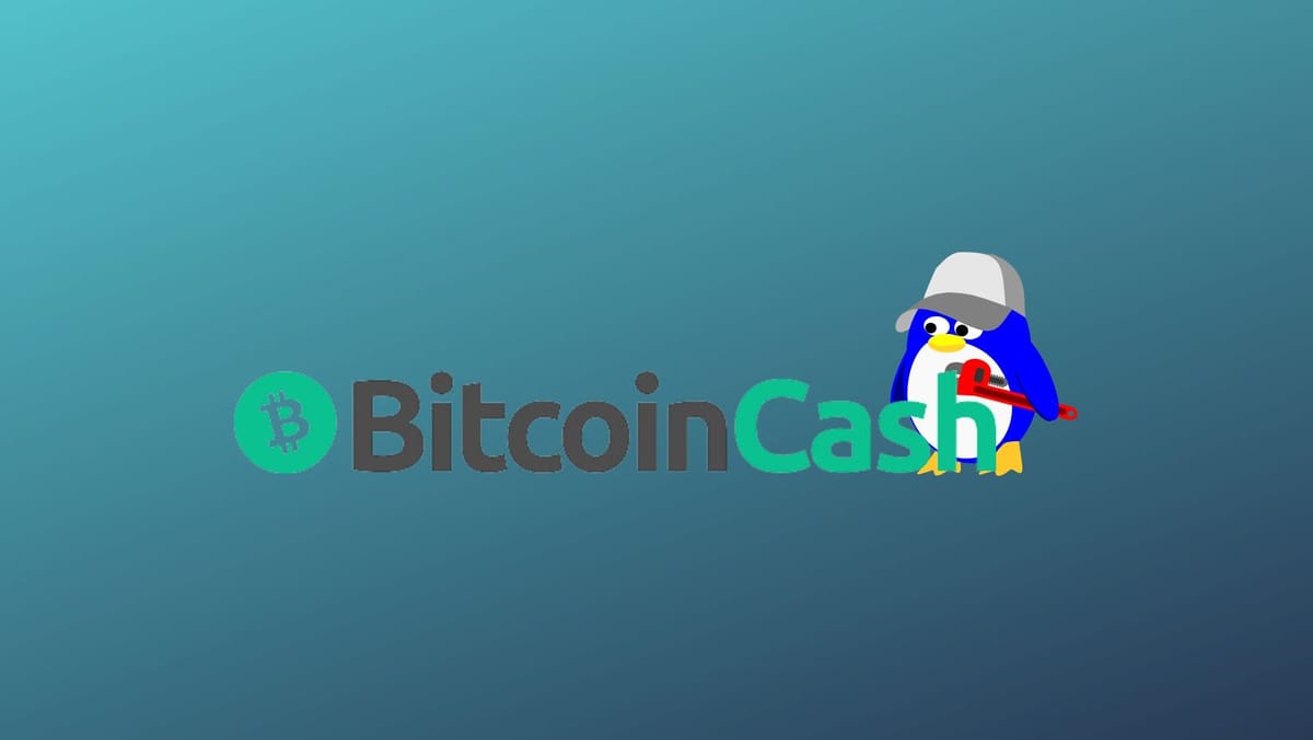 How To Run A Bitcoin Cash Node On Linux: Setup Guide