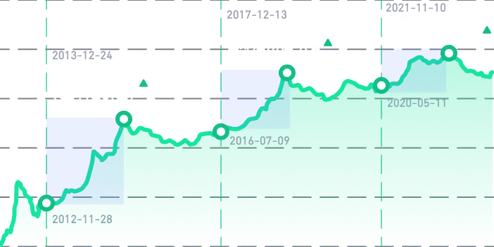 Bitcoin Halving Countdown