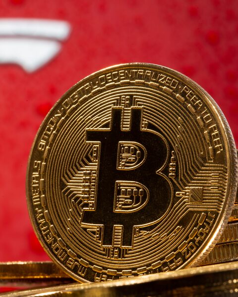 Gold, Bitcoin surges show black swan risk rising - Asia Times