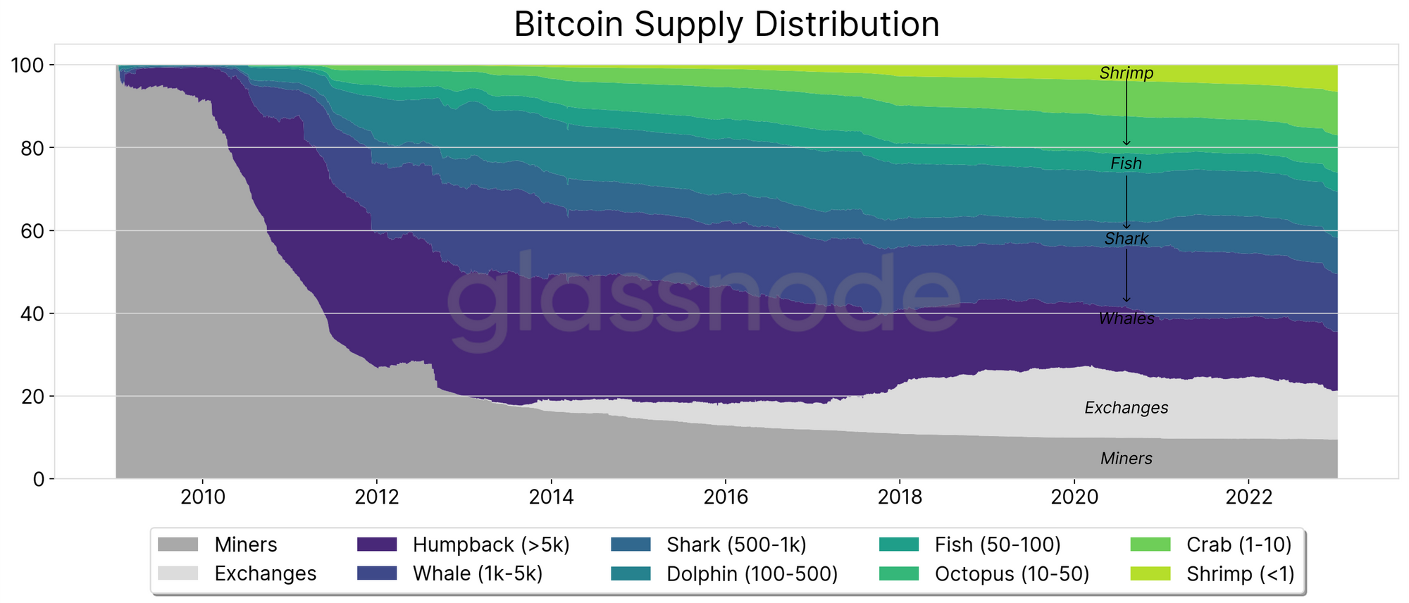 Top Richest Bitcoin Addresses and Bitcoin distribution