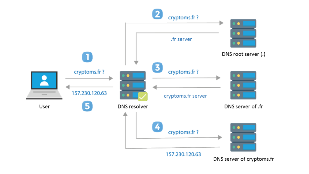 Blockchain domains – a simple explanation - IONOS