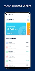 Blue wallet review South Africa: Features, Pros and cons - Skrumble
