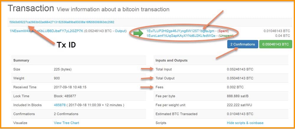 Bitcoin Block Explorer | BlockCypher