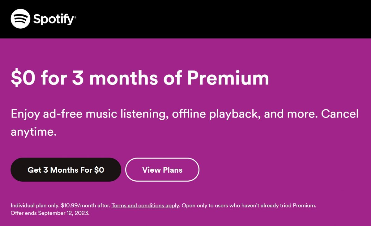 How to Get Spotify Premium Cheaper in (VPN & Tricks)