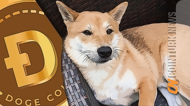 How Do I Convert My DOGE to Cash?