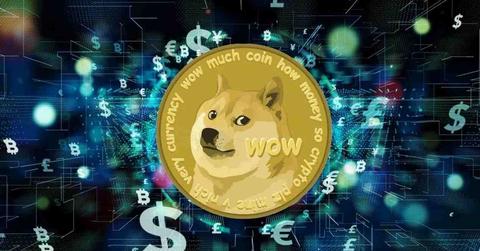 Convert DOGE to NGN ( Dogecoin to Nigerian Naira)