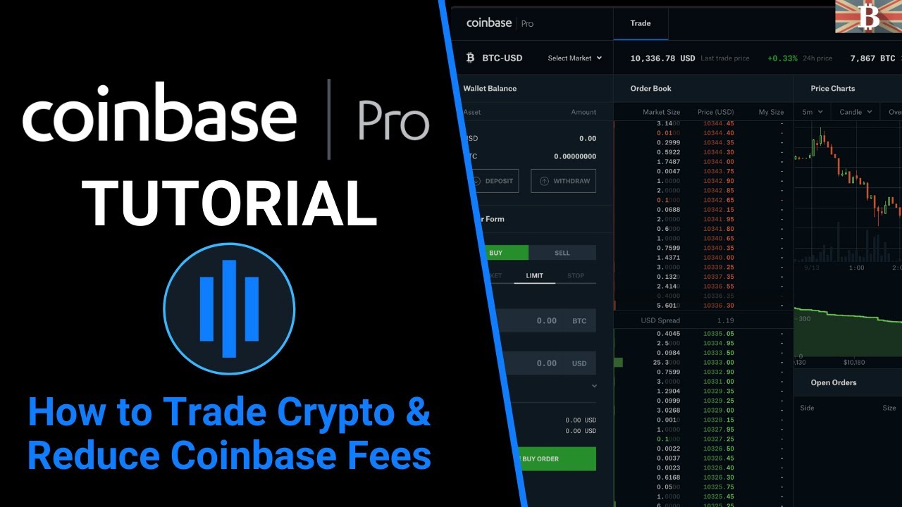 Uphold vs. Coinbase: Which Should You Choose?