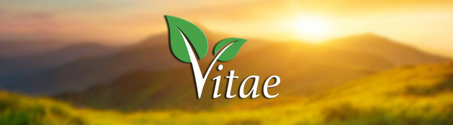 Vitae Price Today - VITAE to US dollar Live - Crypto | Coinranking