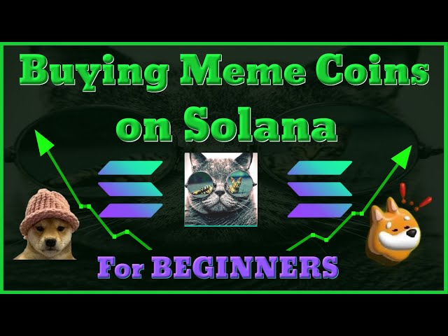 Meow the Cat: The cutest cat on Solana Blockchain