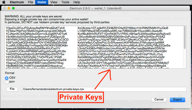 Sweeping your private keys into Electrum – Bitcoin Electrum