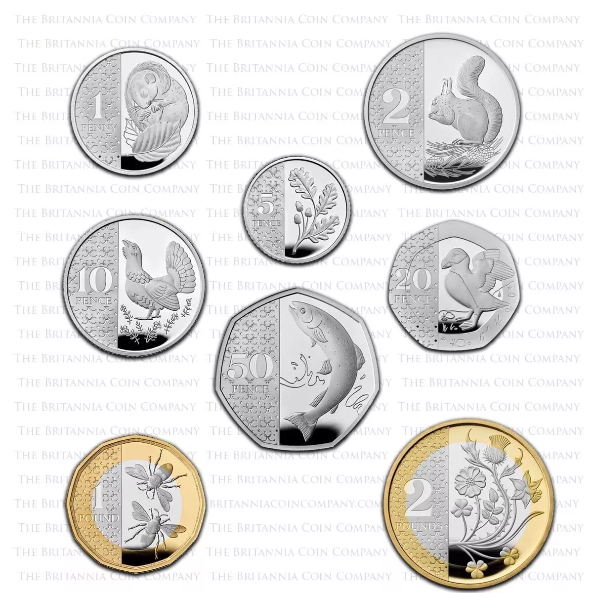 Buy Krugerrands and Gold Coins from The Scoin Shop