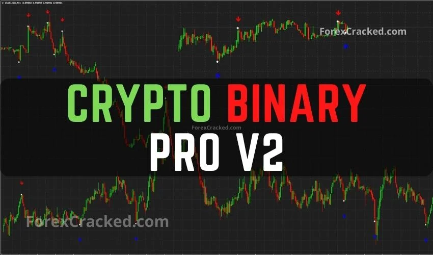 Binary Option: Definition, How They Trade, and Example