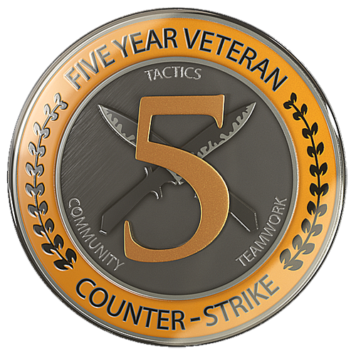 no 10 year coin :: Counter-Strike 2 General Discussions