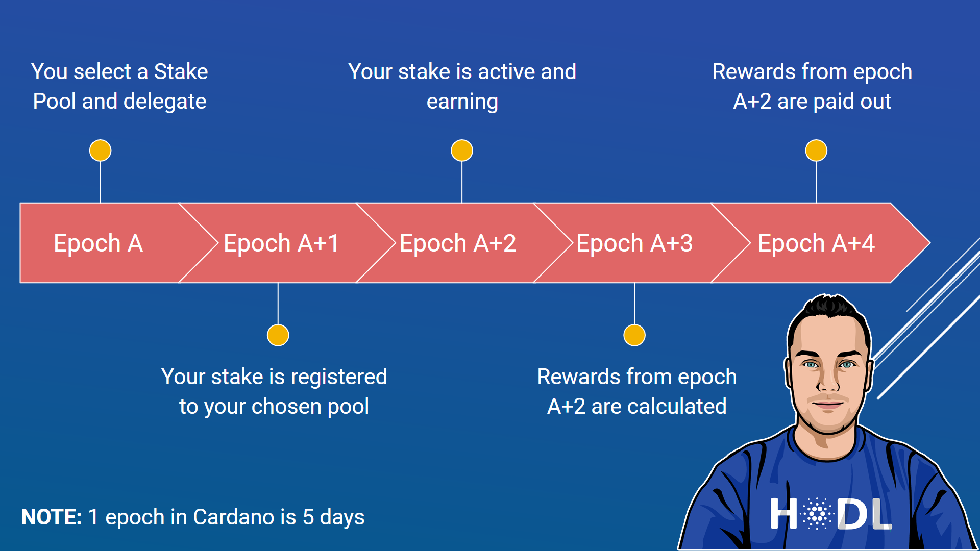 How to Stake Your Cardano in Your Arculus Wallet - Arculus