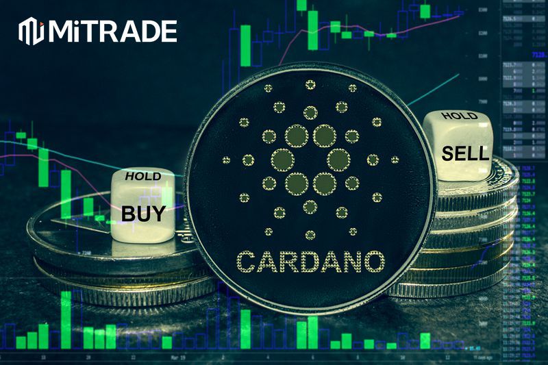 Cardano (ADA) Price, Chart & News | Crypto prices & trends on MEXC