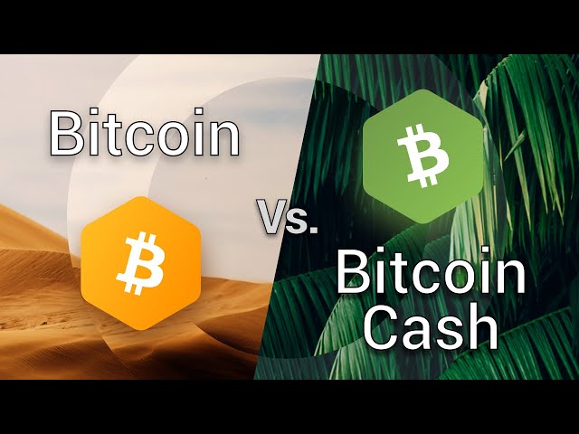 Learn to tell the difference between Bitcoin (BTC) And Bitcoin Cash (BCH)