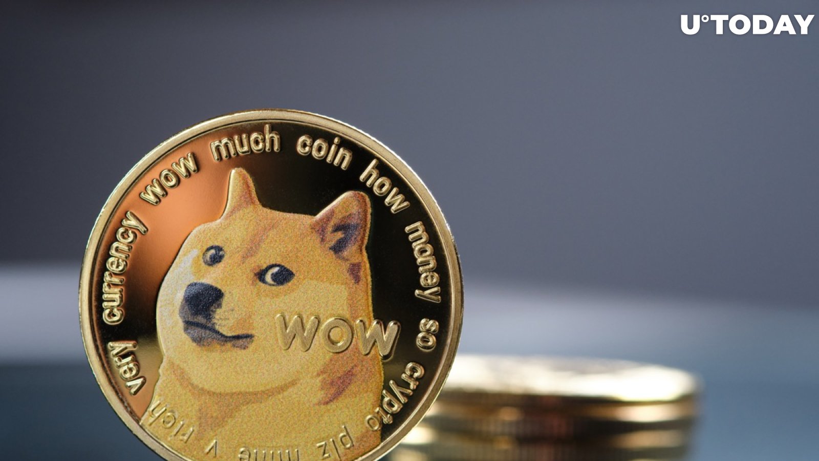 Dogecoin price today, DOGE to USD live price, marketcap and chart | CoinMarketCap