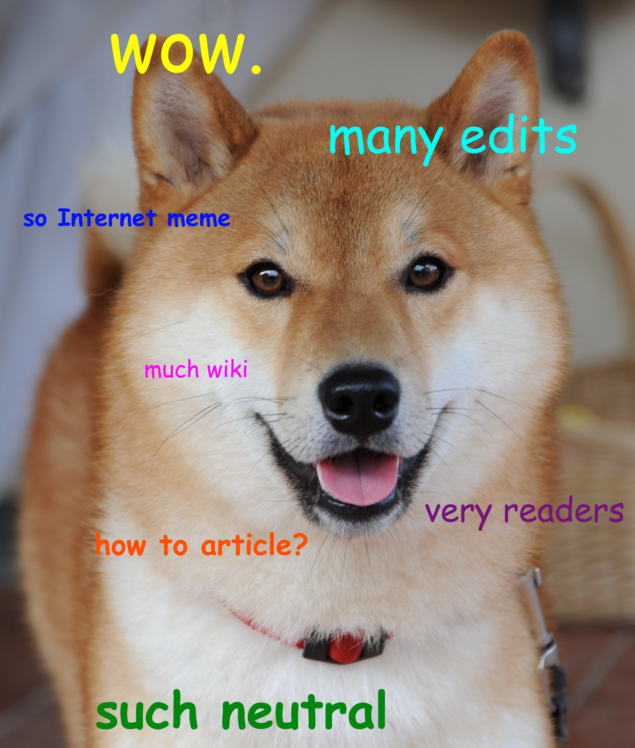 A Brief History Of The Doge Meme