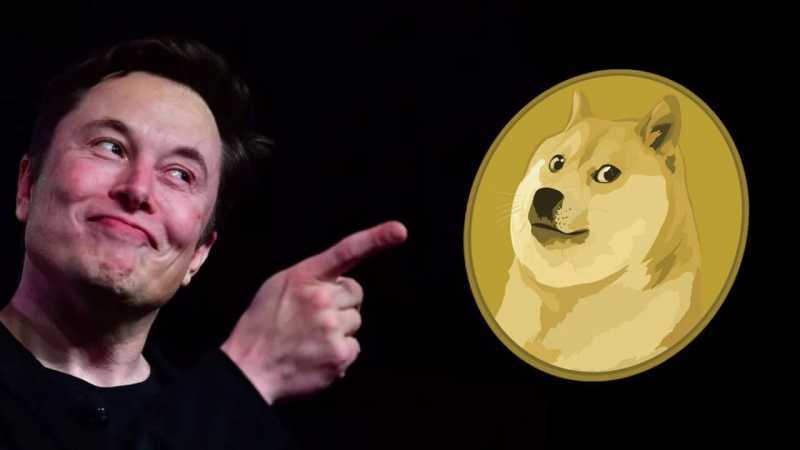 Elon Musk promised to fund Dogecoin, now the foundation accounts are overdue