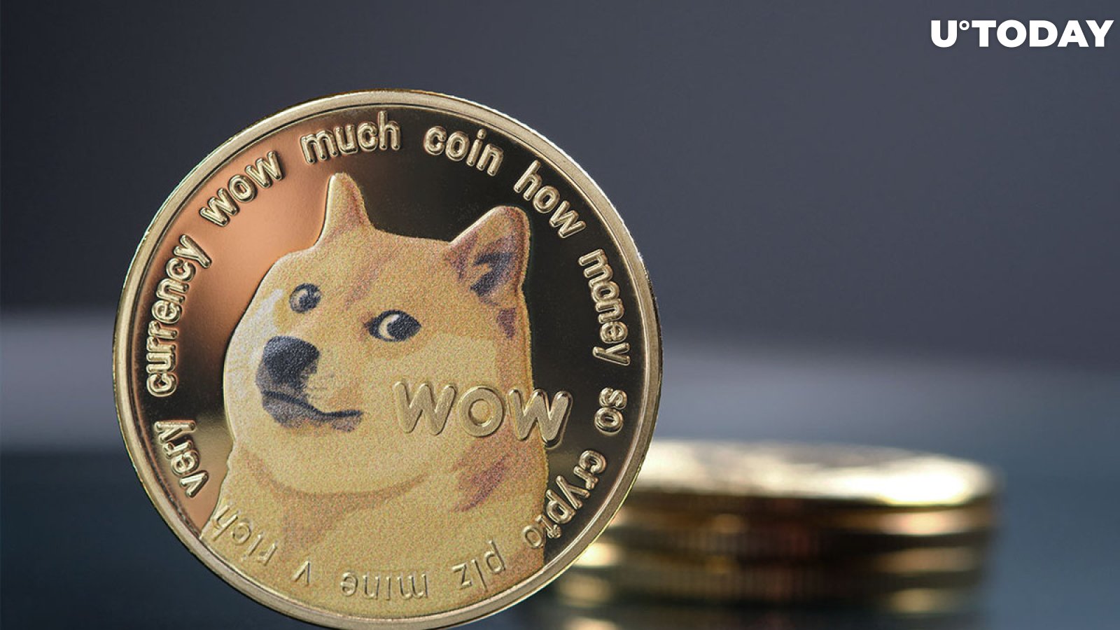 Dogecoin Review: DOGE Still Worth It? This You NEED To Know