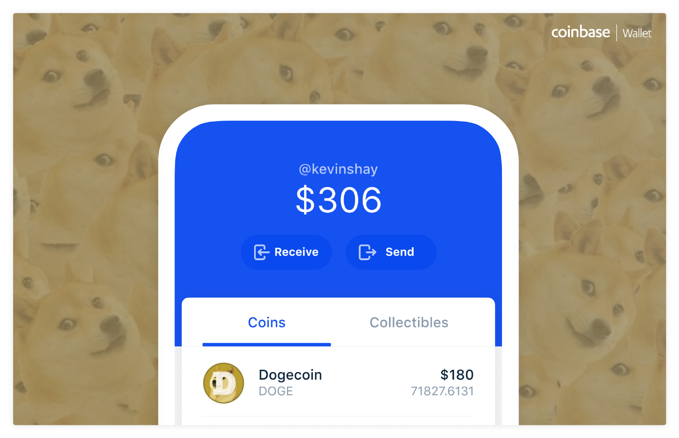 What Is the Best Dogecoin Wallet?