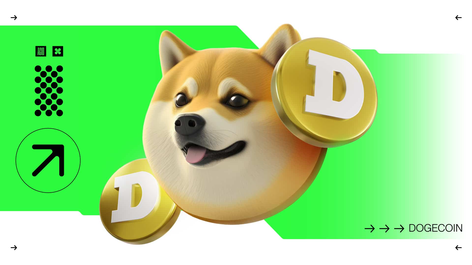 Doge - Liquipedia Tetris Wiki