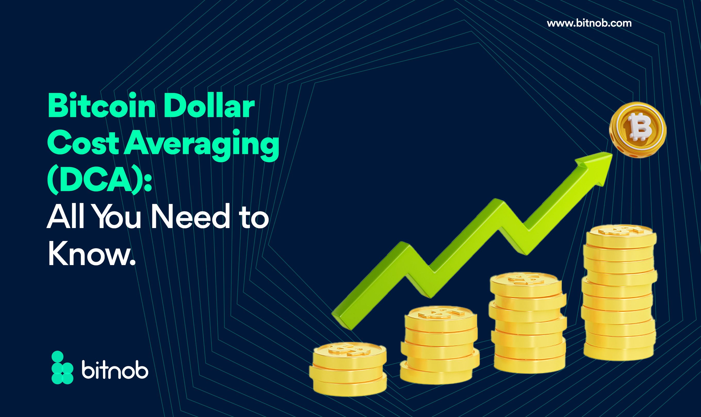 Dollar Cost Averaging Bitcoin - dcaBTC