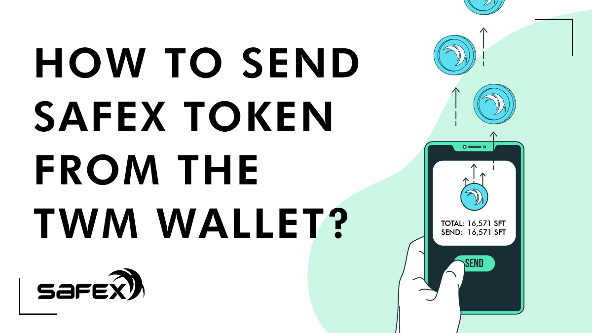 Safex Wallets at Best Price in Mumbai | Sapphire Bags