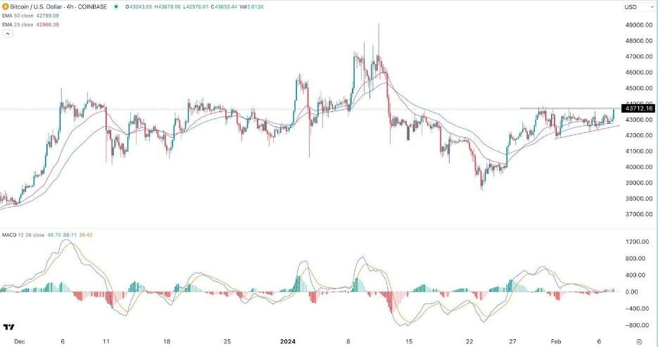 US Dollar to Bitcoin or convert USD to BTC