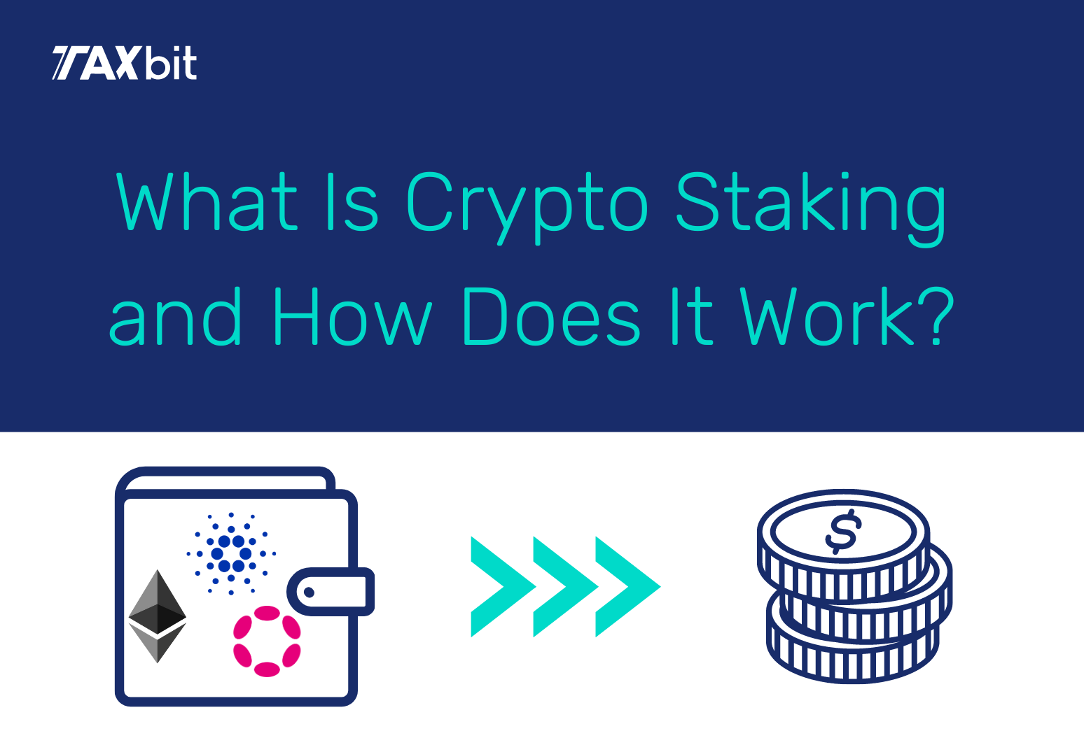 What is Staking? All You Need to know About Staking