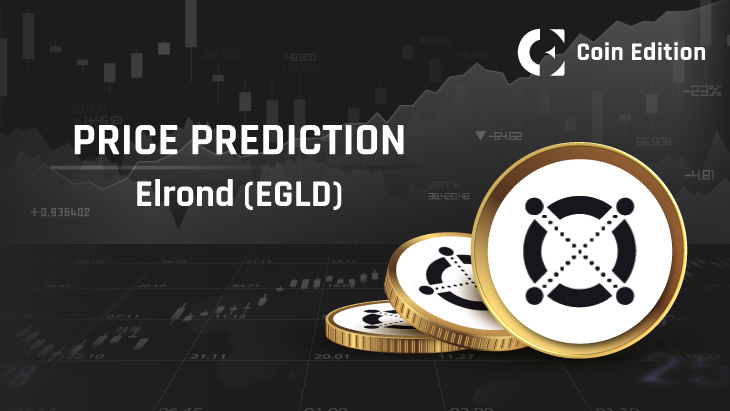 What is MultiversX? EGLD Price Prediction , to - Crypto Bulls Club