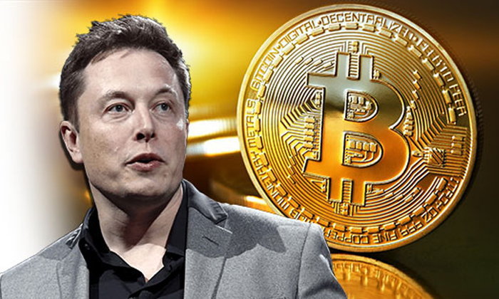 Crypto Scammers Exploit: Elon Musk Speaks on Cryptocurrency | McAfee Blog