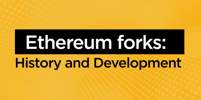 History and Forks of Ethereum | bitcoinlog.fun