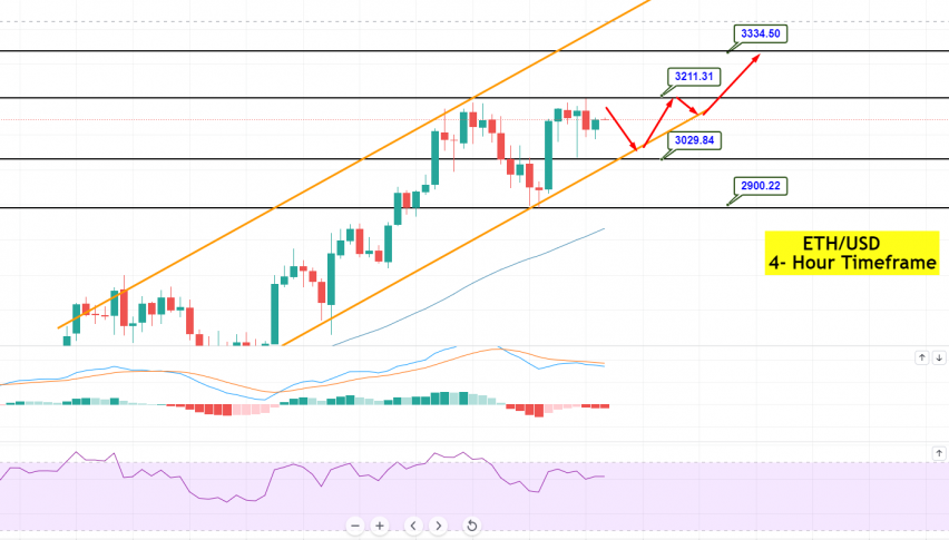 Forex vs Crypto Trading: What is Your Best Choice?