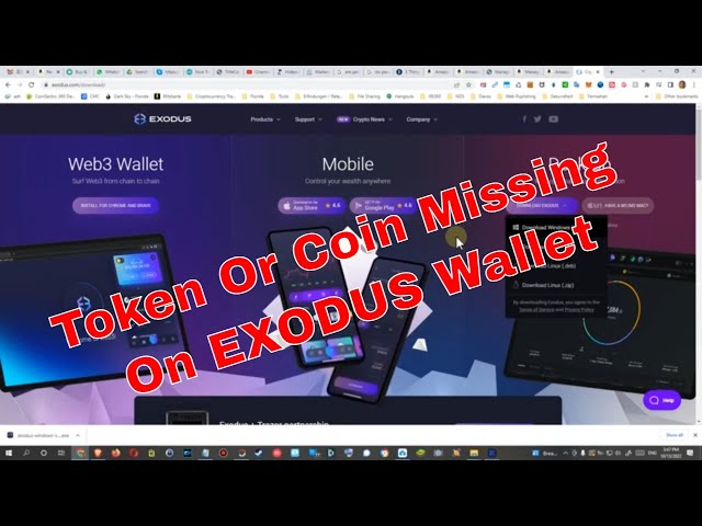 EXODUS WALLET - BALANCE OF ADA CARDANO DOES NOT APPEAR - General Discussions - Cardano Forum