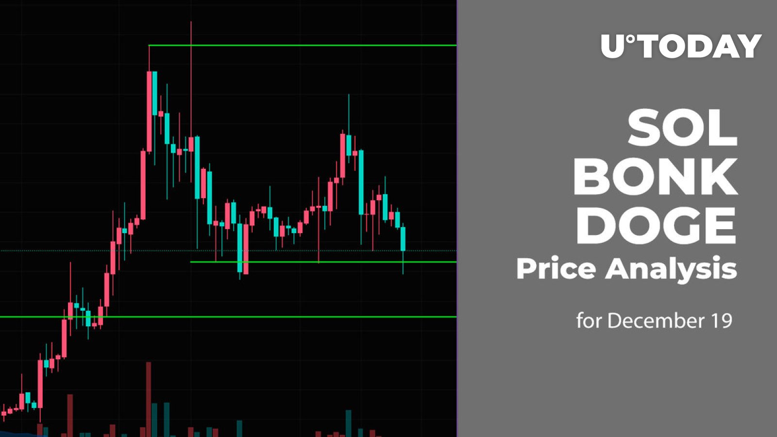 BONK Price : What Will be My Portfolio If BONK Crosses $1? | CoinGape