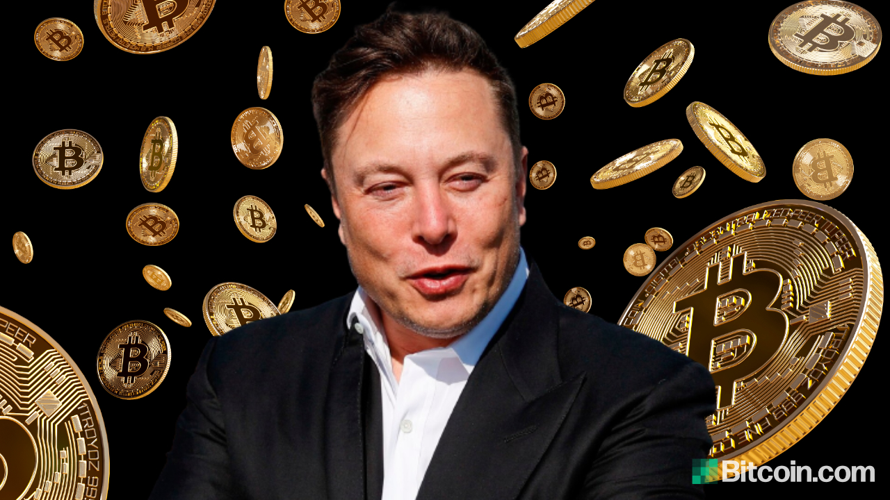 Crypto Chaos: Dogecoin Investors Point Fingers At Elon Musk In Insider Trading Saga