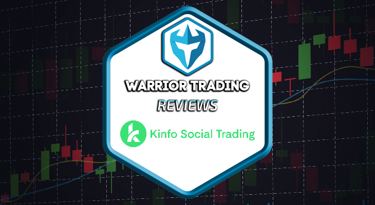 Social Trading Guide: How It Works & Best Platforms