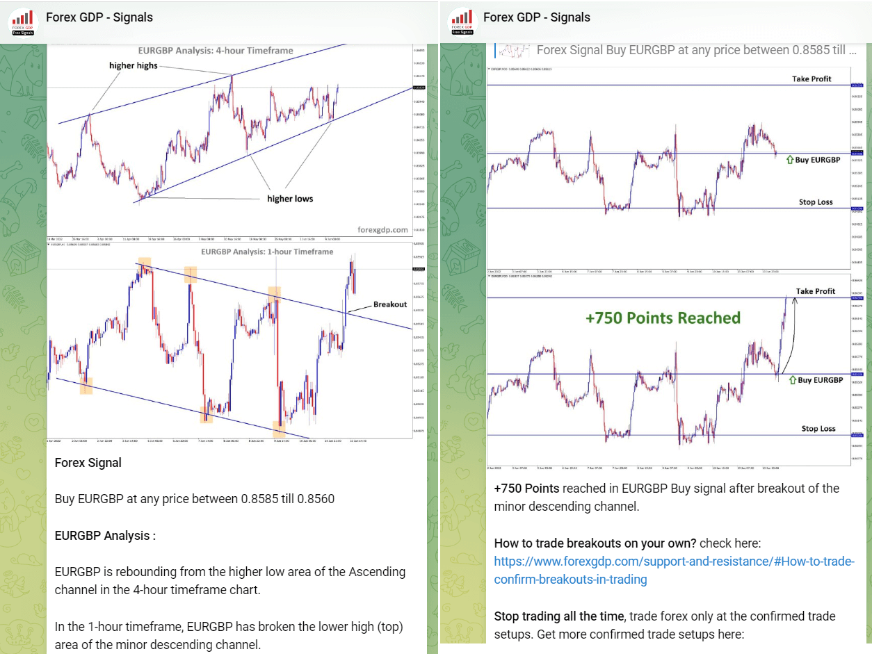 Top 10 Forex Trading Signal Channels On Telegram [September ] - AltSignals » bitcoinlog.fun