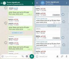 Trading Forex Signals Telegram | ForexGDP