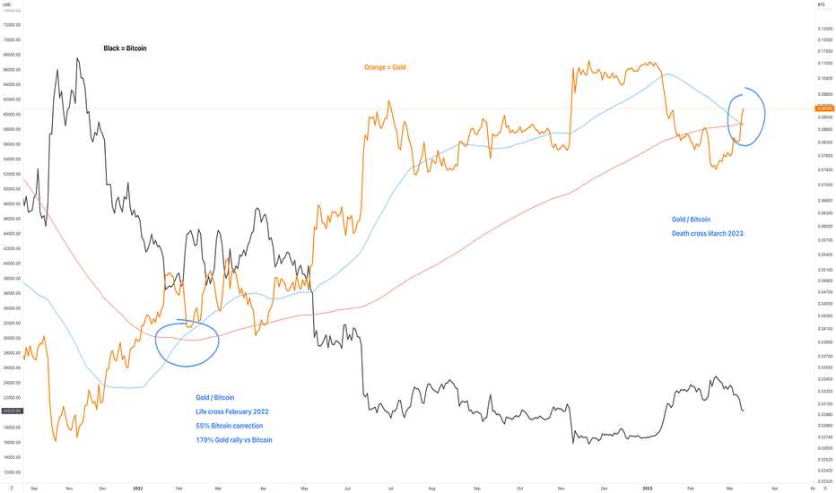 Bitcoin vs. Gold: The Driving Forces Behind Their Prices - Tavex Bullion