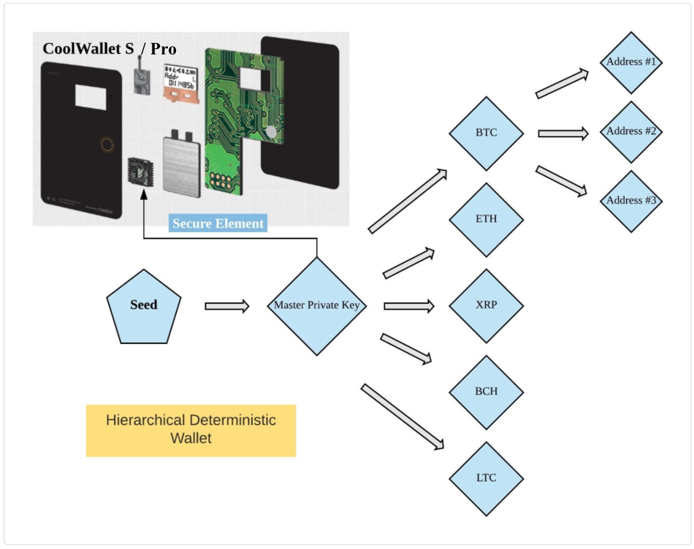 What Are HD Wallets? (Hierarchical Deterministic) With Examples