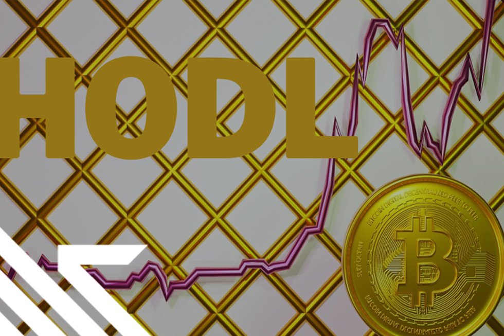 What is HODL? Hodl Meaning – BitcoinWiki