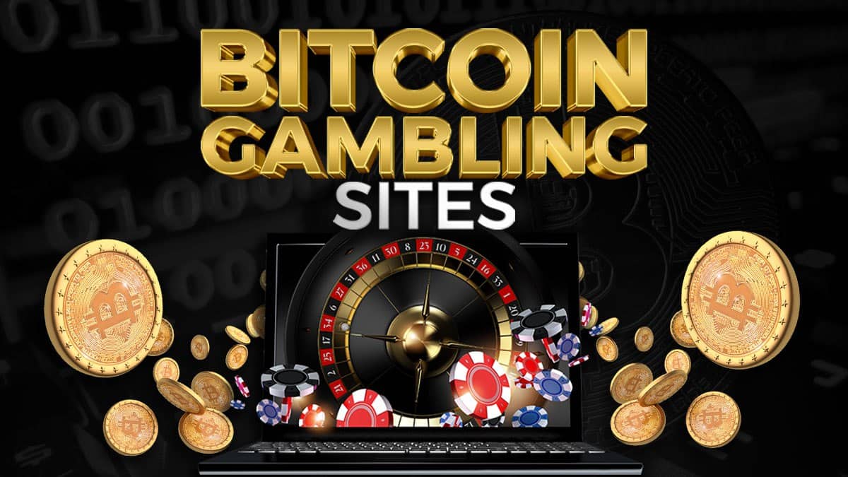 The Best Online Crypto Casinos Updated - Casinomeister