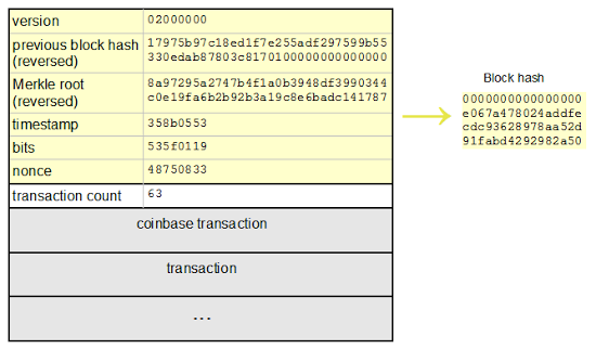 Convert 1 HASH to BTC - HASH to Bitcoin Converter | CoinCodex