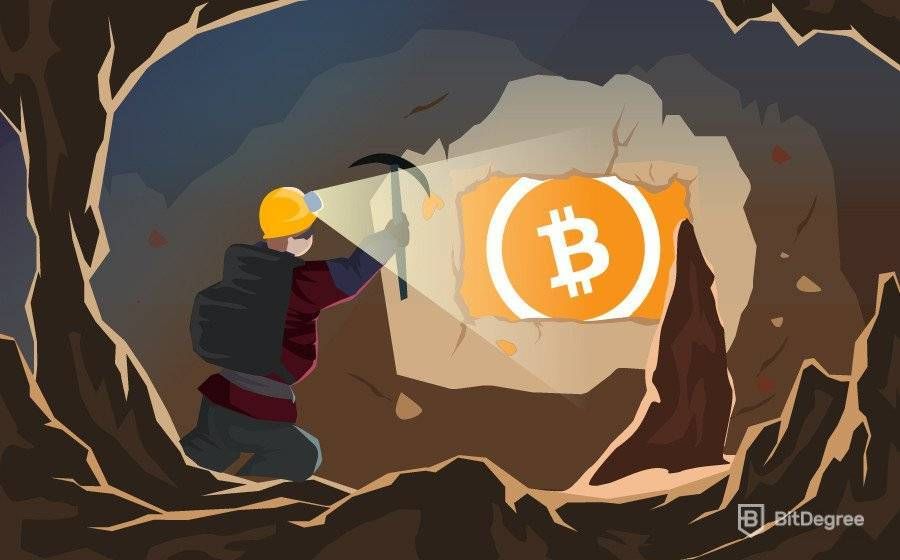 Bitcoin vs Bitcoin Cash – Forbes Advisor Australia