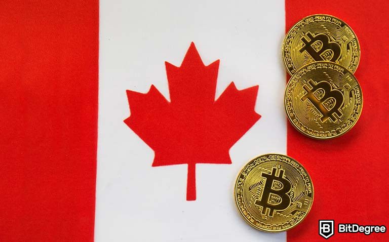 Best Crypto Exchanges Of March – Forbes Advisor Canada