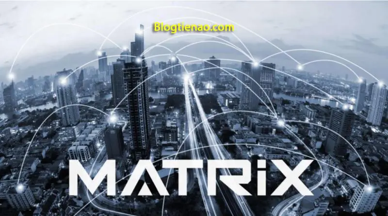 Buy MATRIX black coin holders for coin Ø mm - pcs.