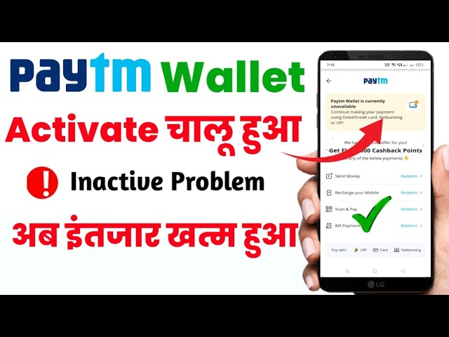 Paytm wallet services are back after a brief outage | Mint